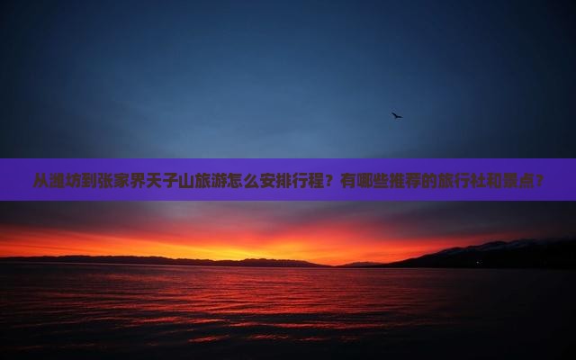 从潍坊到张家界天子山旅游怎么安排行程？有哪些推荐的旅行社和景点？