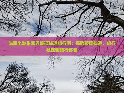 陇南出发张家界玻璃栈道旅行团：探险玻璃栈道，旅行社定制旅行体验