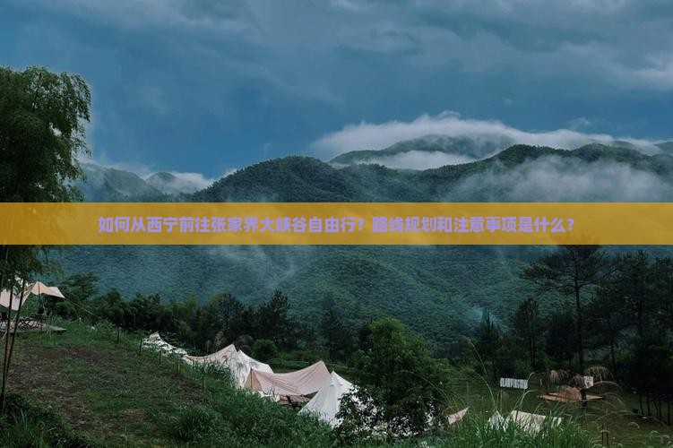 如何从西宁前往张家界大峡谷自由行？路线规划和注意事项是什么？