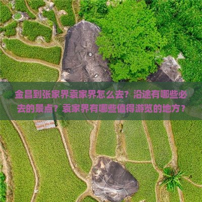 金昌到张家界袁家界怎么去？沿途有哪些必去的景点？袁家界有哪些值得游览的地方？