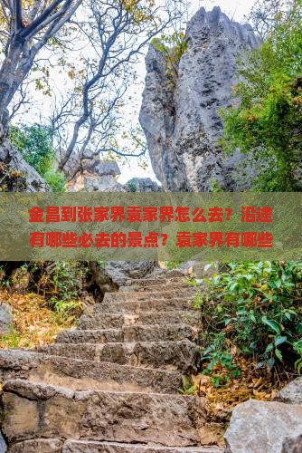 金昌到张家界袁家界怎么去？沿途有哪些必去的景点？袁家界有哪些值得游览的地方？