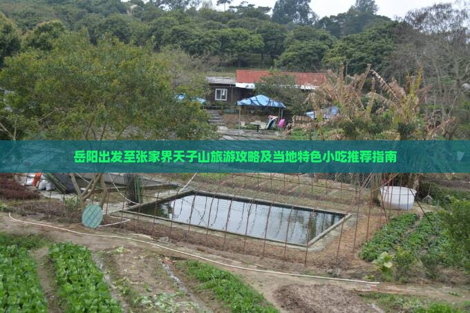 岳阳出发至张家界天子山旅游攻略及当地特色小吃推荐指南