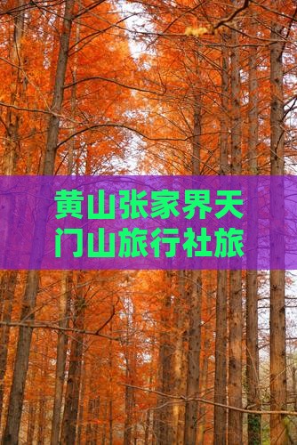 黄山张家界天门山旅行社旅游旅行推荐