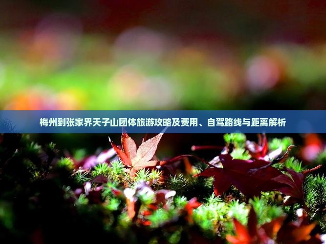 梅州到张家界天子山团体旅游攻略及费用、自驾路线与距离解析