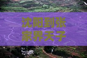 沈阳到张家界天子山自由行旅游团