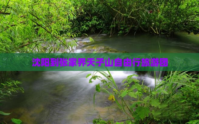沈阳到张家界天子山自由行旅游团