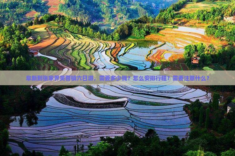 阜新到张家界芙蓉镇六日游，需要多少钱？怎么安排行程？需要注意什么？