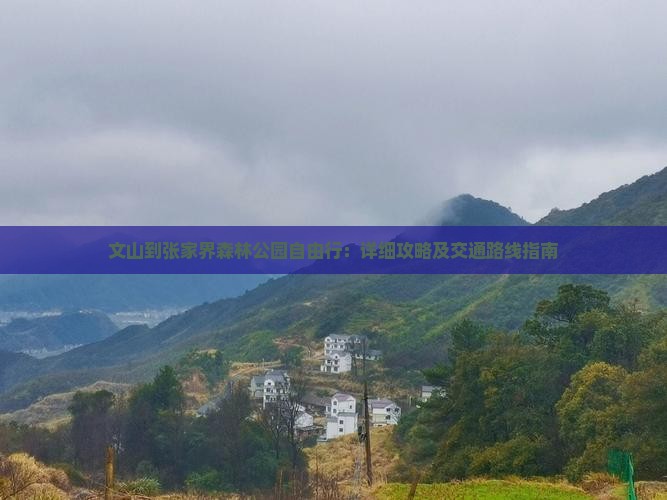 文山到张家界森林公园自由行：详细攻略及交通路线指南