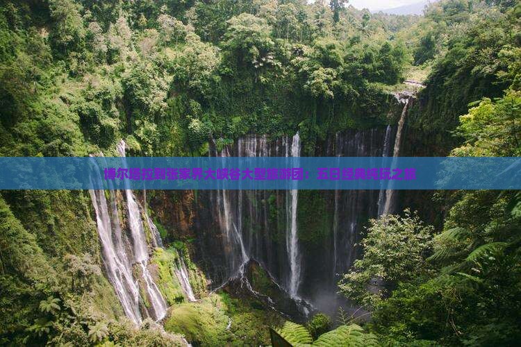 博尔塔拉到张家界大峡谷大型旅游团：五日经典纯玩之旅