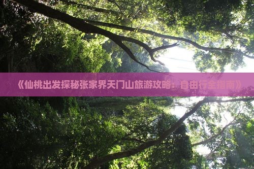 《仙桃出发探秘张家界天门山旅游攻略：自由行全指南》