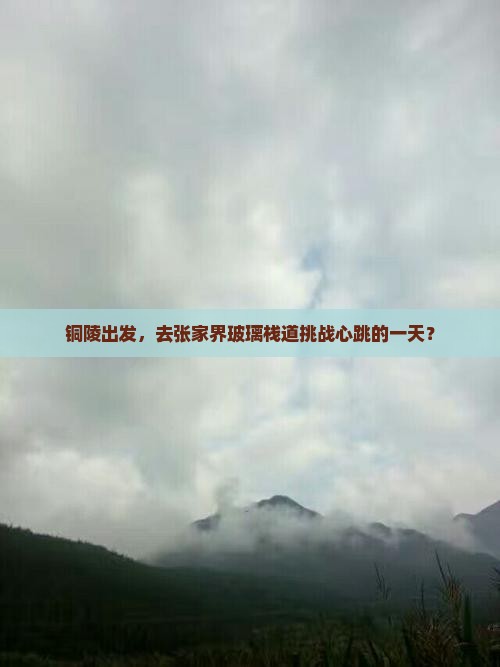 铜陵出发，去张家界玻璃栈道挑战心跳的一天？