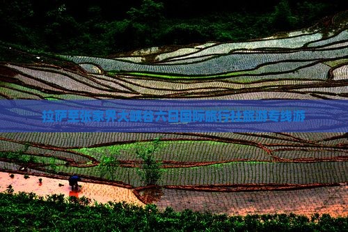 拉萨至张家界大峡谷六日国际旅行社旅游专线游