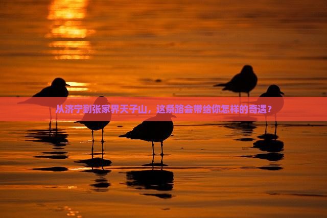 从济宁到张家界天子山，这条路会带给你怎样的奇遇？