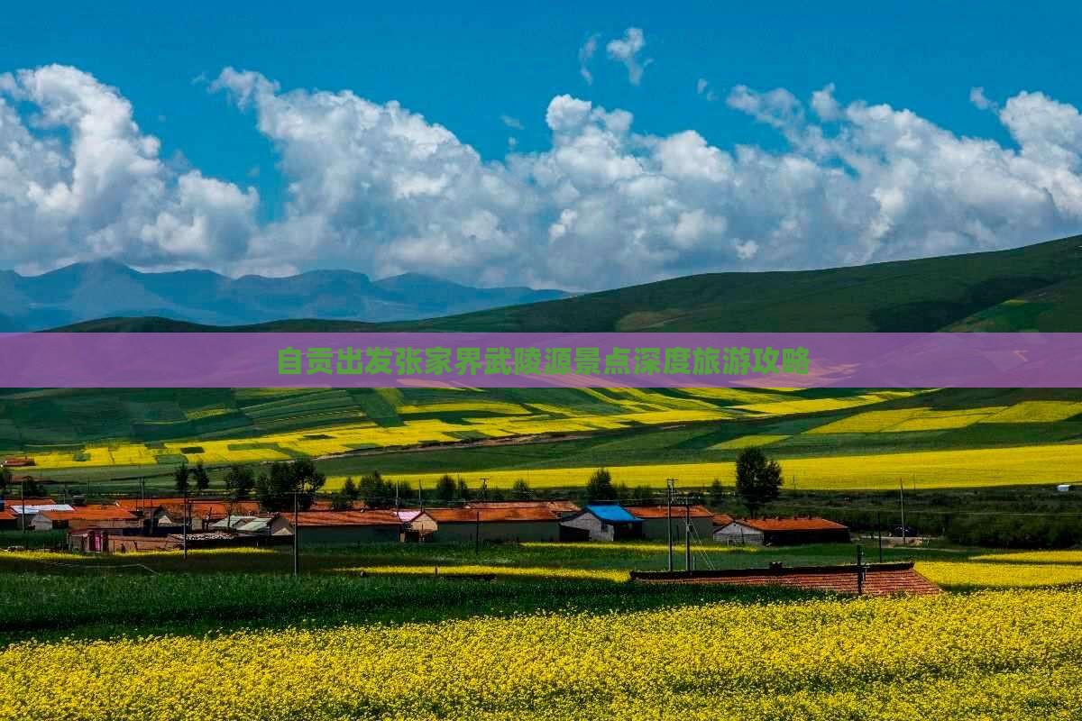 自贡出发张家界武陵源景点深度旅游攻略