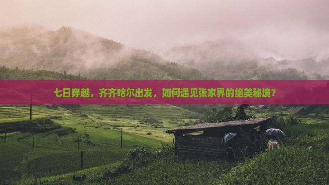 七日穿越，齐齐哈尔出发，如何遇见张家界的绝美秘境？