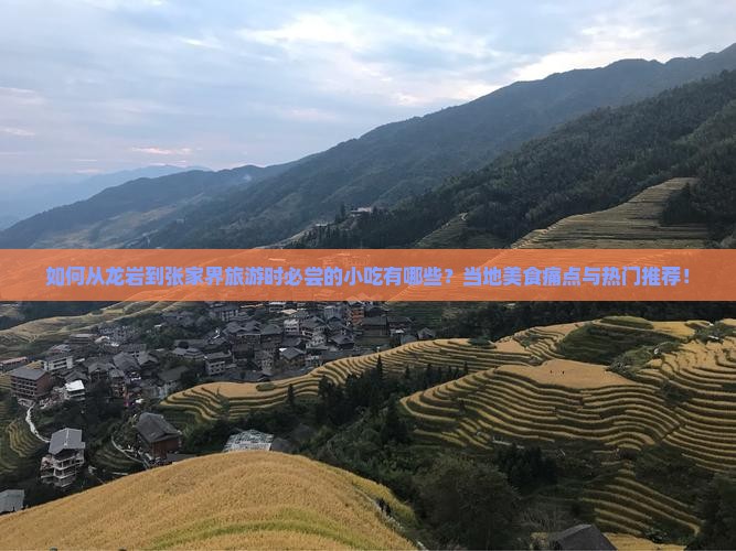 如何从龙岩到张家界旅游时必尝的小吃有哪些？当地美食痛点与热门推荐！