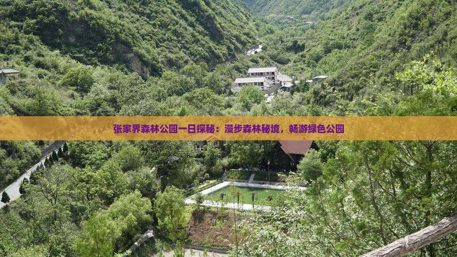 张家界森林公园一日探秘：漫步森林秘境，畅游绿色公园