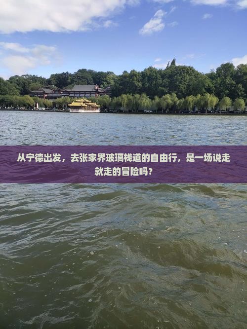 从宁德出发，去张家界玻璃栈道的自由行，是一场说走就走的冒险吗？