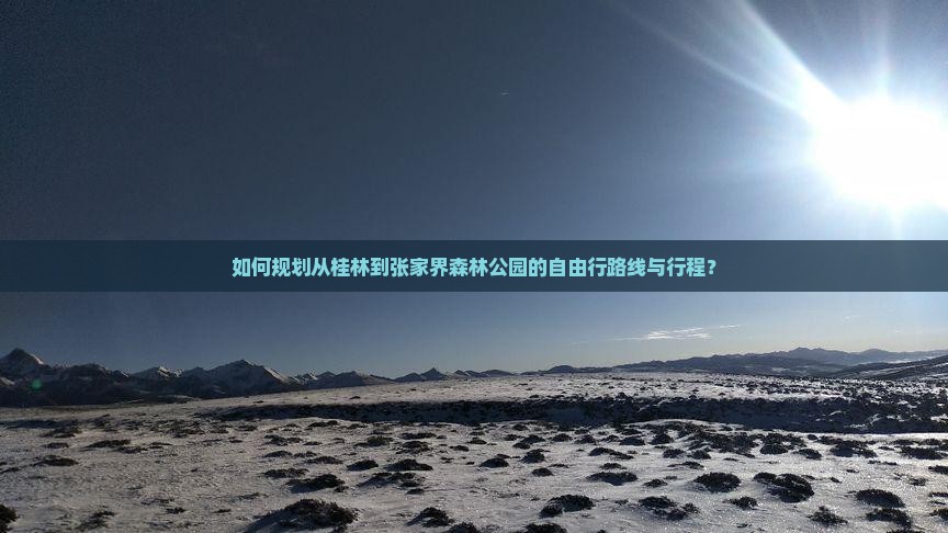 如何规划从桂林到张家界森林公园的自由行路线与行程？