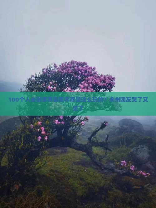 100个人去张家界袁家界都是这么玩的？永州团友哭了又笑了