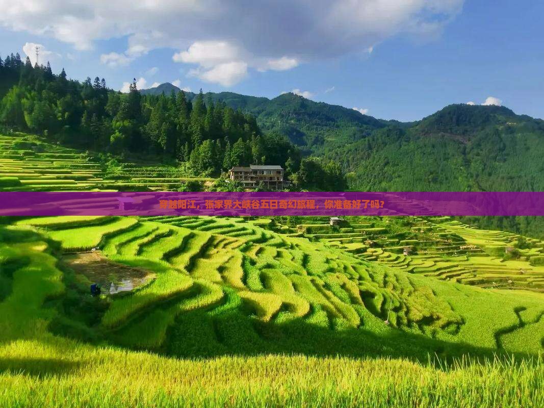 穿越阳江，张家界大峡谷五日奇幻旅程，你准备好了吗？