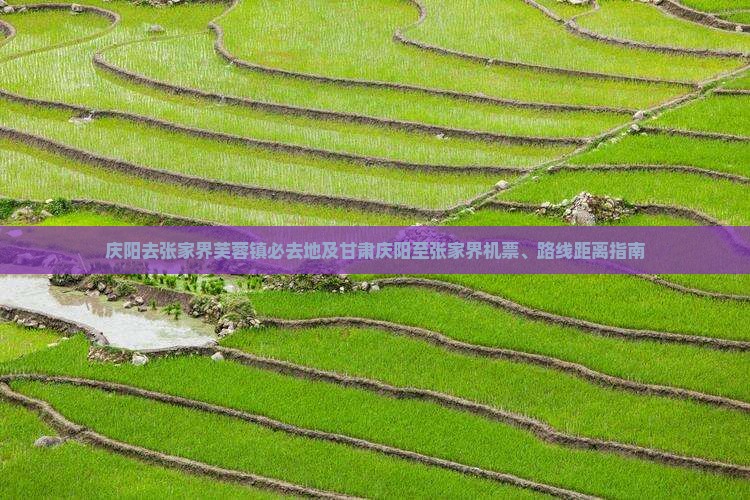 庆阳去张家界芙蓉镇必去地及甘肃庆阳至张家界机票、路线距离指南