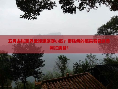五月去张家界武陵源旅游小吃？带钱包的都来看看这些网红美食！