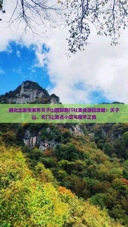 通化出发张家界天子山国际旅行社美食游玩攻略：天子山、天门山景点小吃与魔芋之旅