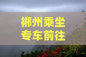 郴州乘坐专车前往张家界大峡谷畅游自由行