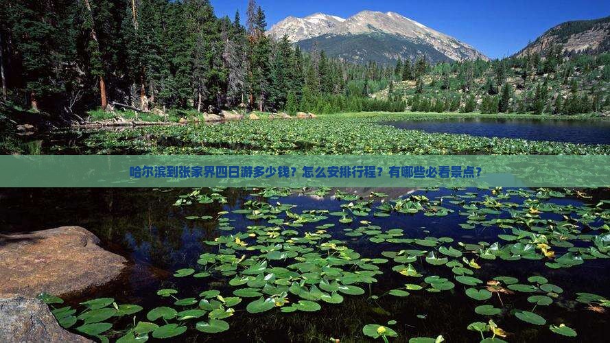 哈尔滨到张家界四日游多少钱？怎么安排行程？有哪些必看景点？
