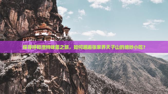 探寻呼和浩特味蕾之旅，如何邂逅张家界天子山的绝妙小吃？