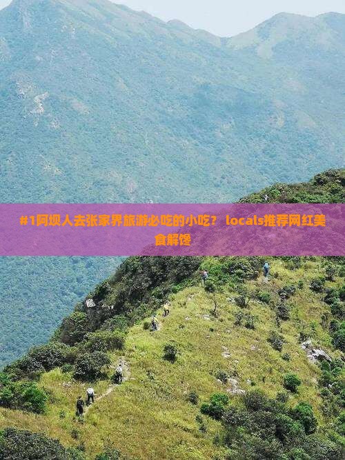 #1阿坝人去张家界旅游必吃的小吃？ locals推荐网红美食解馋
