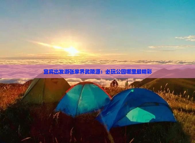 宜宾出发游张家界武陵源：必玩公园哪里最精彩