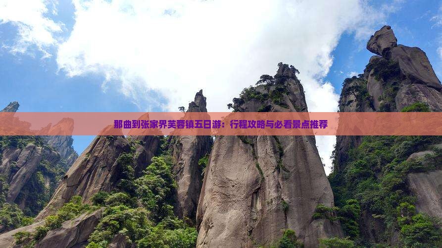 那曲到张家界芙蓉镇五日游：行程攻略与必看景点推荐