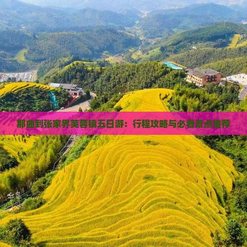 那曲到张家界芙蓉镇五日游：行程攻略与必看景点推荐