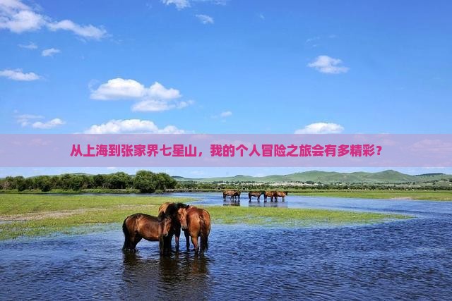 从上海到张家界七星山，我的个人冒险之旅会有多精彩？