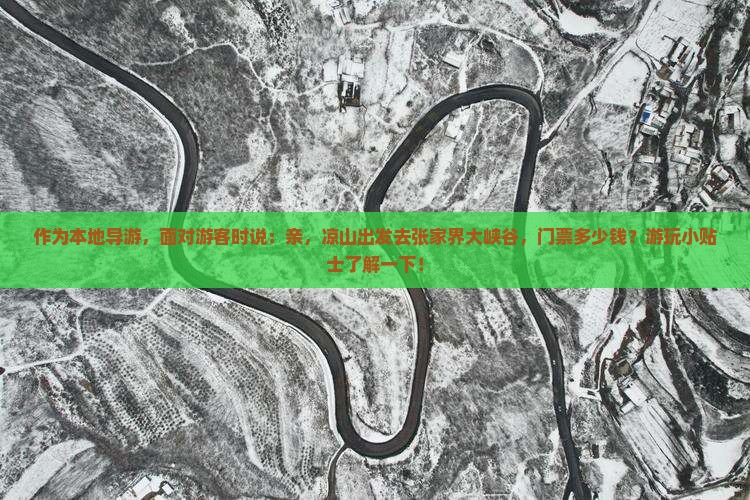 作为本地导游，面对游客时说：亲，凉山出发去张家界大峡谷，门票多少钱？游玩小贴士了解一下！