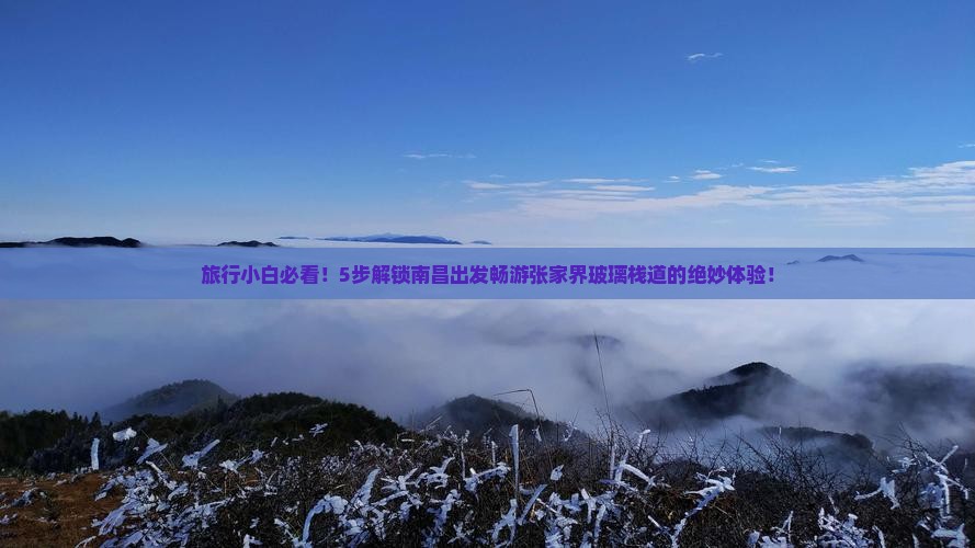 旅行小白必看！5步解锁南昌出发畅游张家界玻璃栈道的绝妙体验！