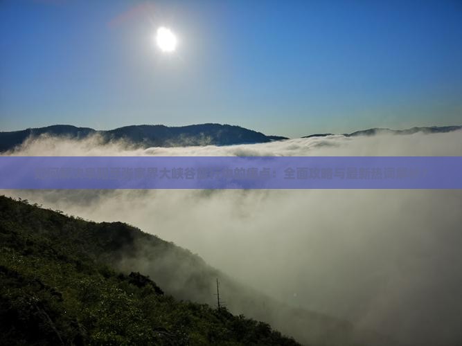如何解决阜阳至张家界大峡谷旅行中的痛点：全面攻略与最新热词解析？