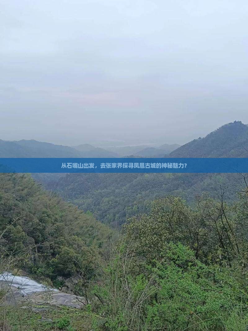 从石嘴山出发，去张家界探寻凤凰古城的神秘魅力？