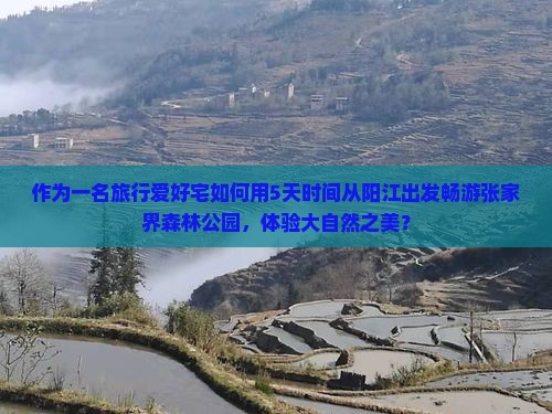 作为一名旅行爱好宅如何用5天时间从阳江出发畅游张家界森林公园，体验大自然之美？