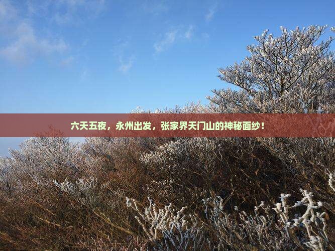 六天五夜，永州出发，张家界天门山的神秘面纱！