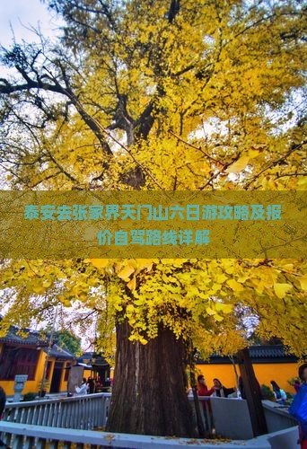 泰安去张家界天门山六日游攻略及报价自驾路线详解