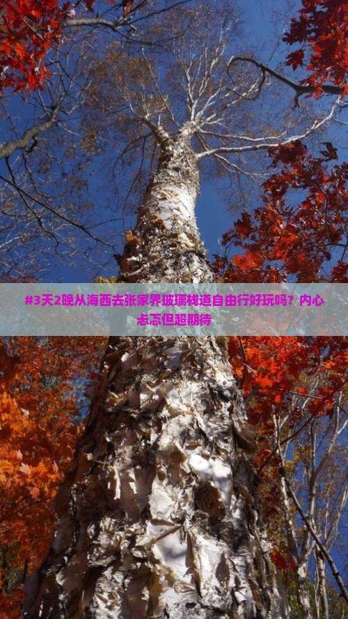 #3天2晚从海西去张家界玻璃栈道自由行好玩吗？内心忐忑但超期待