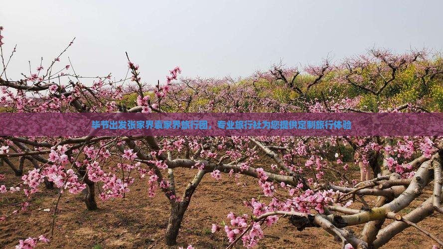 毕节出发张家界袁家界旅行团，专业旅行社为您提供定制旅行体验