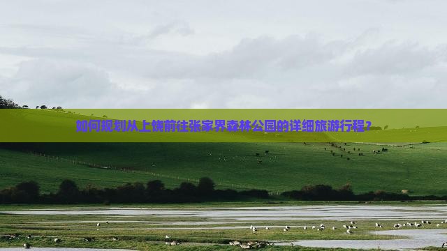 如何规划从上饶前往张家界森林公园的详细旅游行程？