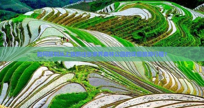 如何规划从上饶前往张家界森林公园的详细旅游行程？