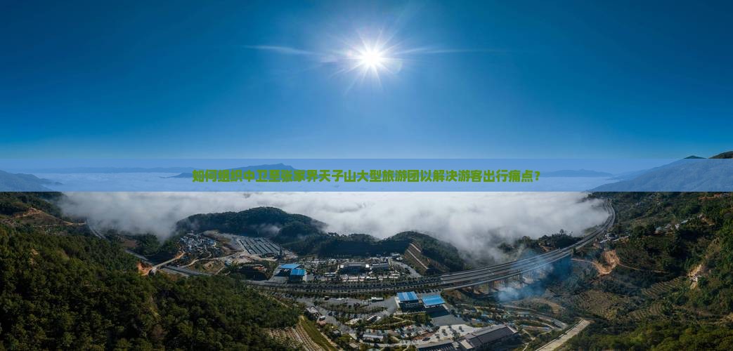 如何组织中卫至张家界天子山大型旅游团以解决游客出行痛点？