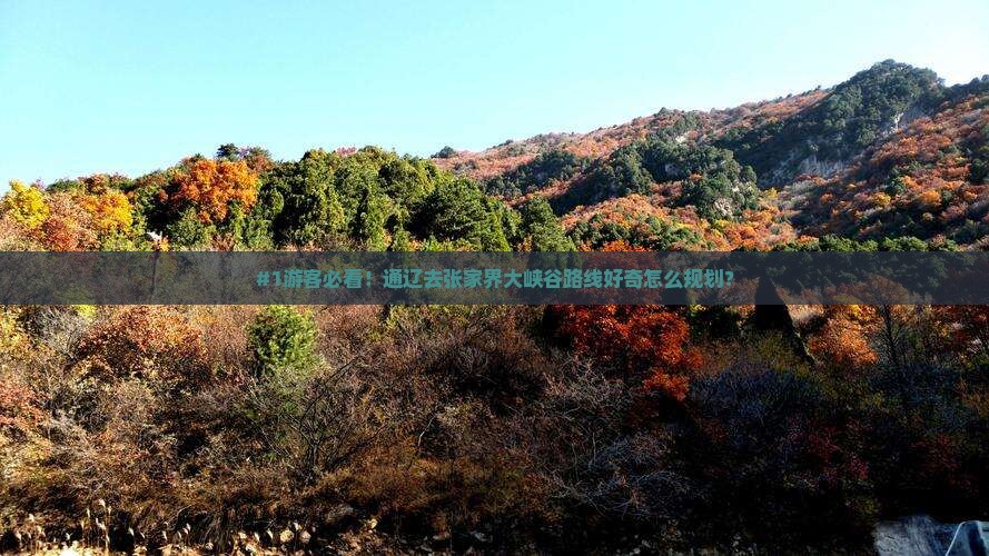 #1游客必看！通辽去张家界大峡谷路线好奇怎么规划？