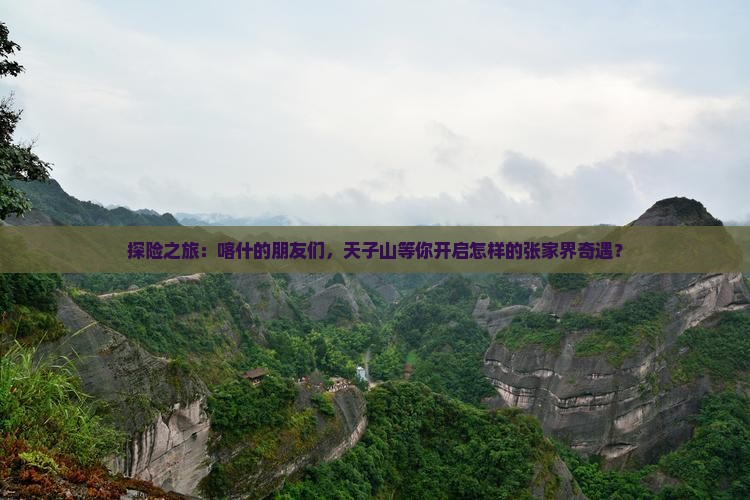 探险之旅：喀什的朋友们，天子山等你开启怎样的张家界奇遇？